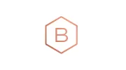 Balthorne Security Solutions
