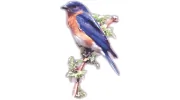 Bluebird Security